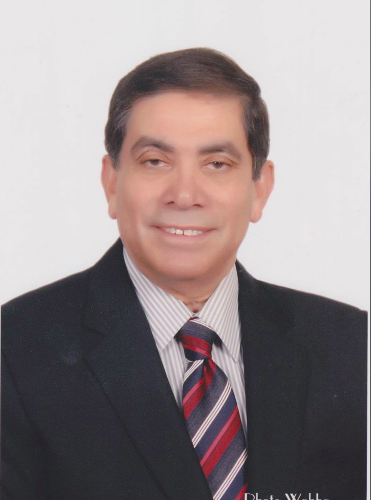 Prof. Dr. Mostafa Hemeda Prof. Dr. Mostafa Hemeda